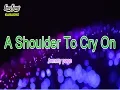 Download Lagu KARAOKE - A SHOULDER TO CRY ON - TOMMY PAGE