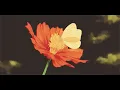 Post Malone - Finer things (slowed & reverb + 432hz) ft. Hank Williams Jr.