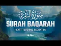 Lagu Surah Al Baqarah سورة البقرة | Ultimate Peace \u0026 Comfort | Quran for Emotional Healing – By Alaa Aqel