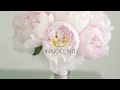 Ariana Grande - POV | String Quartet Sample | Innocenti Strings