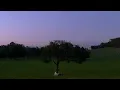 Berhana - Sundays (Visualizer)