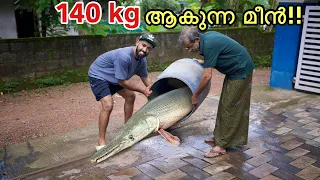 🔥ദൈവമേ.. മീനച്ചിൽ ആറ്റിൽ നിന്ന് കിട്ടിയ മുതലയെ കണ്ടോ?? | Rare Monster fish from river in kerala | 