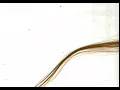 GINGER HAIR STRANDS GIF - EXPERIMENT