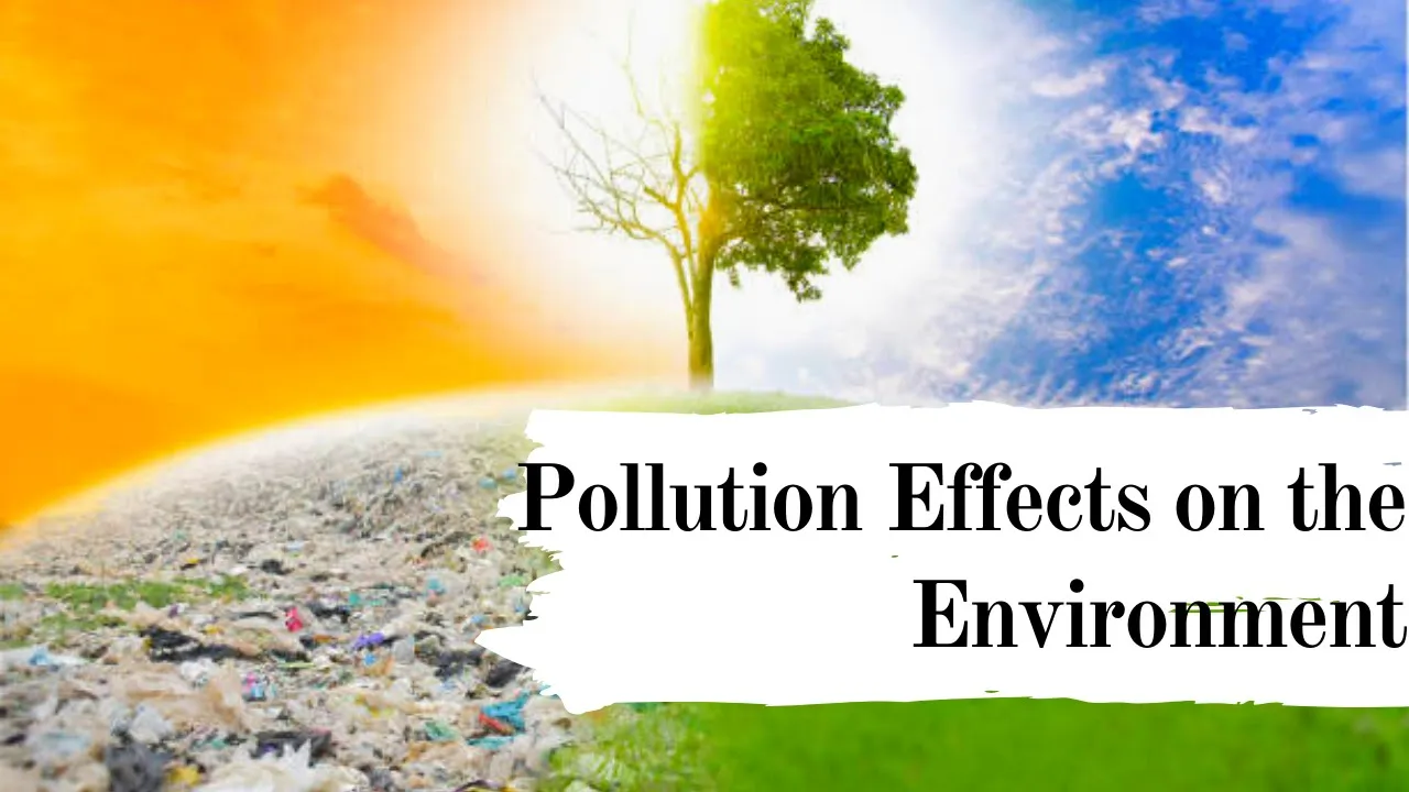 Pollution Effects on the Environment