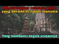 Download Lagu #MembongkarRahasiaGaib Yang Berada Di Tubuh Manusia Yang Membantu Segala Urusan