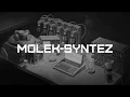 Molek-Syntez - Teacher Game Reviews