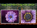 zoom image mouse hover zoom effect using html and css CSS HTML future exam
