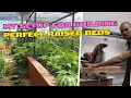 This Wood Cutting Station Setup Gives Perfect Cuts Every Time DIY Raised Garden Beds