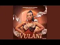 Lagu Dlala Thukzin \u0026 MaShandu - Vulani (Official Audio) feat. Sfundo \u0026 J4soul