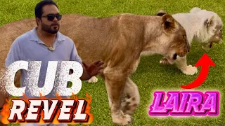 Diana cub bi dekha dia apki demand pr😍video ma talash karein🤔(mian saqib)