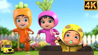 Aloo Mian Sabzi Ki Tokri Me So Rahe The, आलू मियां, Chu Chu Chacha, Muse Kids Nursery Songs