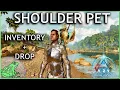 ASA Shoulder Pet Basic Controls - Access Inventory and Drop Pet