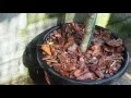 Earthwise Pine Bark Mulch - Features and Benefits