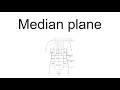 Median Plane