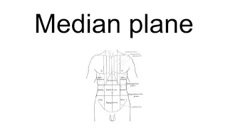 Median Plane