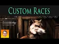 Play SKYRIM as a DWARF FOX SNOW ELF AKAVIRI and more Lost Races of Aetherius Mod Showcase