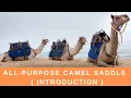 All Purpose Camel Saddle - An Introduction