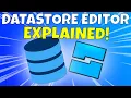 Datastore Editor Explained