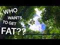 Feedee Encouragement Weight Gain Hypnosis 3 0