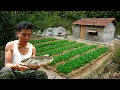 Download Lagu CEO Quits Career to Return to Farming: Live off grid, close to nature