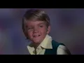 Summer Days (2021 Version) by the Partridge Family