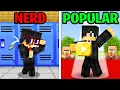 Lagu Minecraft, But From NERD to POPULAR...