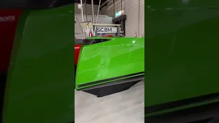 boot Düsseldorf: Red Saffier, Green Saffier