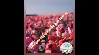 کهکشان کلیپ کلیپ های آموزنده کلیپ های پند و اندرز 