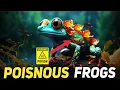 The Most Poisonous Frogs Toads In the World 2024