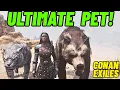 Ultimate pet Greater saber vs Greater bear - Conan Exiles
