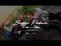 Sannere-Bigger Picture (audio)