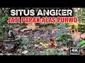 Download Lagu Situs jati papak angker \u0026 Gimbal Error | Penelusuran 4 Suro di Alas Purwo Banyuwangi