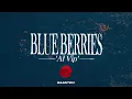 BLUE BERRIES AL VIP - saantidj