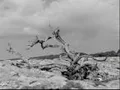 Caravan of love -  Housemartins