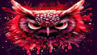 239 سكاشم بيرخت شات التجمع العربي 