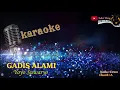 Download Lagu GADIS ALAMI KARAOKE Yoyo Suwaryo