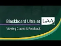 Blackboard Ultra at UAA Viewing Grades Feedback
