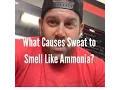 What Causes Sweat to Smell Like Ammonia