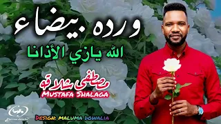الله يازي الأذانا   مصطفى شلاقه  اغنية الاسبوع  اديتو ورده بيضاء  اغاني سودانيه      جديد     دندنها