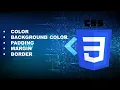 COLOR BACKGROUND COLOR PADDING MARGIN BORDER IN CSS CSS FOR BEGINNER