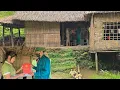 Download Lagu Tieu Lieu's land has finally been officially certified for land use rights | Tiểu Liễu-17 year old