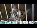 Straight from Stark Series Episode 17 with the Stark County Humane Society