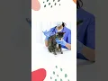 Your Ultimate Veterinary Anatomy Coloring Book