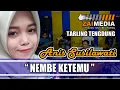 Download Lagu \