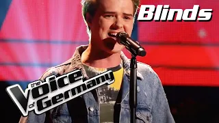 Download The Mamas and the Papas - California Dreamin (Vojtech Zakouril) |The Voice of Germany|Blind Audition MP3