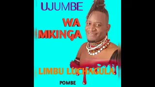 limbu luchagula ujumbe wa mkinga