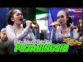 Download Lagu Pujaningsih - Duet Fenomenal Dek Ambar Ft Dek Shiwi | TJ MUSIC | EL-NINO AUDIO | DANSTUDIO OFFICIAL