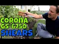 HOW TO USE CORONA Grass Shears GS 6750 Connor Ward