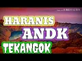 Download Lagu Cover mp3 sasak Haranis ndk tekangok