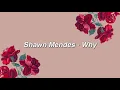 Shawn Mendes - Why {lyrics}